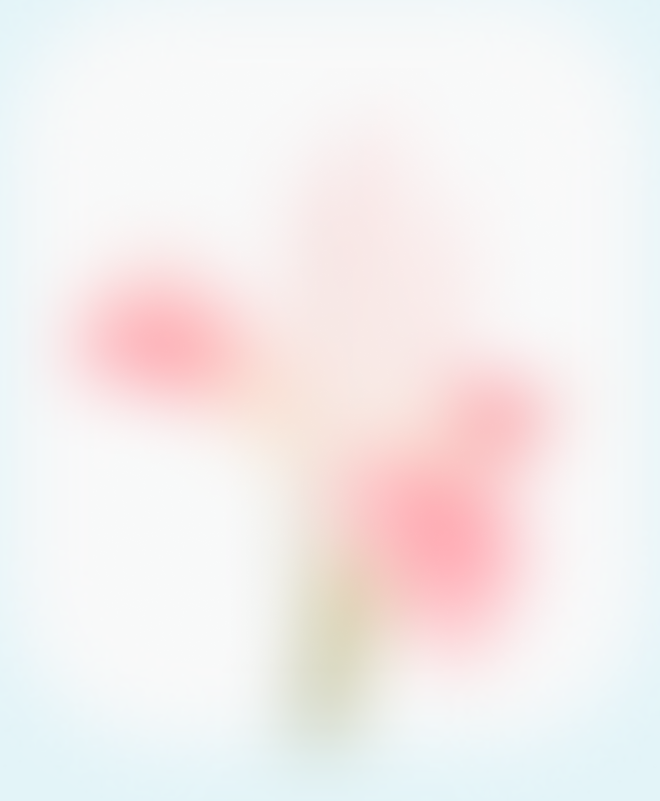 Dreamy and hazy image of a flower in the background